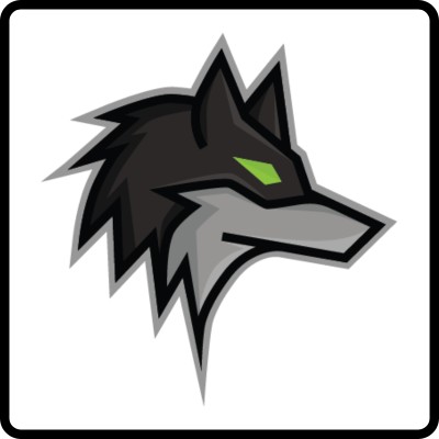 Dark Wolf Solutions