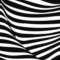 zebra | group GmbH