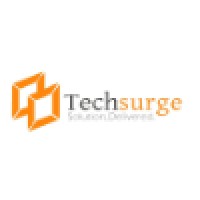 TechSurge Private Limited