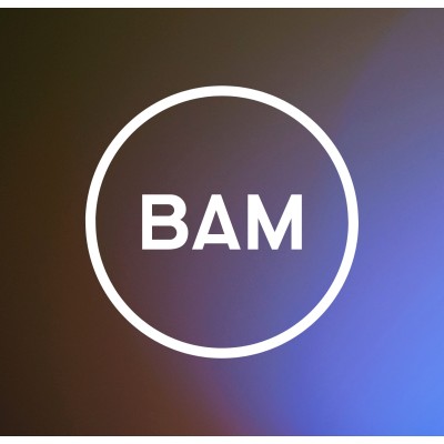 BAM Strategy