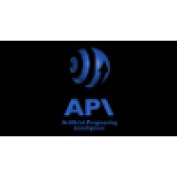 API LLC