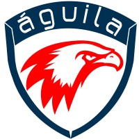 Aguila Consulting