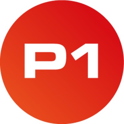 P1 Security
