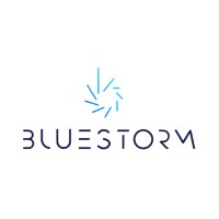 Bluestorm (Web 3.0 & Ai Talent Specialists)