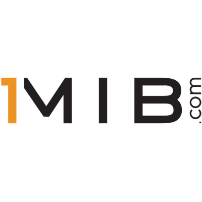 1MIB